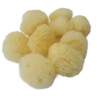 Natural Art Sponge – Fine Variety Pack