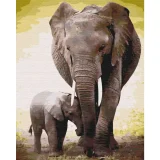 Paint by Numbers - First Days of the Elephant