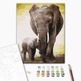 Paint by Numbers - First Days of the Elephant