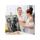 Paint by Numbers - Elephant