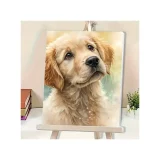 Paint by Numbers - Golden Retriever Pup