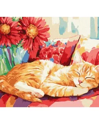 Paint by Numbers Ideyka – Daytime Sleep