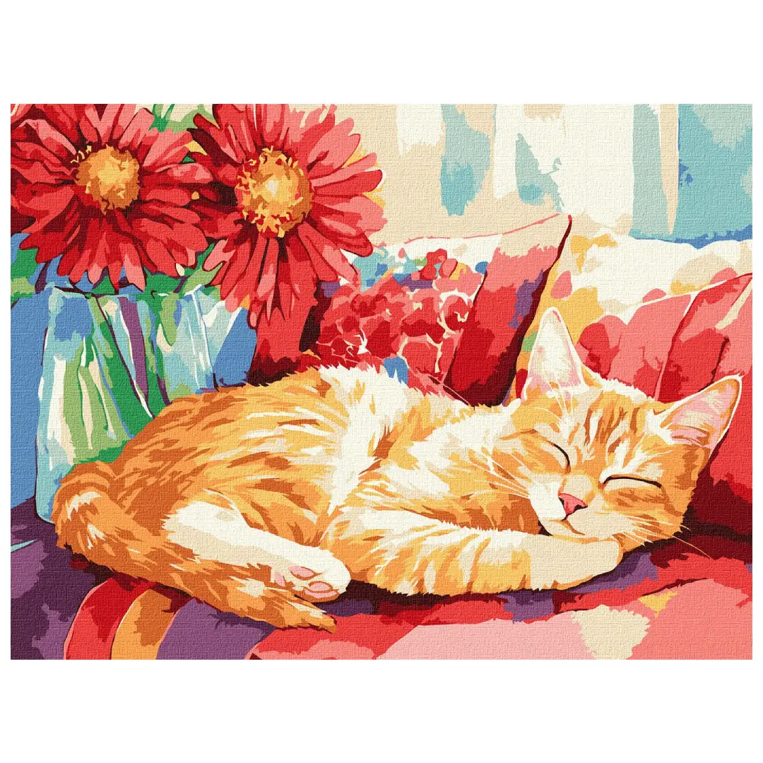 Paint by Numbers Ideyka - Daytime Sleep