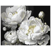 Paint by Numbers Ideyka – Impeccable Beauty