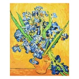 Paint by Numbers Ideyka - Irises In A Vase