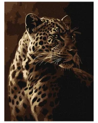 Paint by Numbers Ideyka – Leopard’s Gaze
