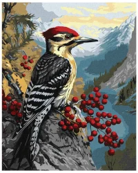 Paint by Numbers Ideyka – Woodpecker