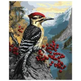 Paint by Numbers Ideyka - Woodpecker