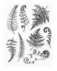 Clear Stamp – Ferns