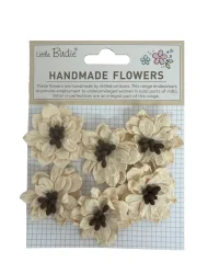 Flowers Phillip Cream Tint – Little Birdie