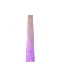 Colour Transition Paint – Purple to Champagne