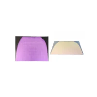 Colour Transition Paint – Purple to Champagne