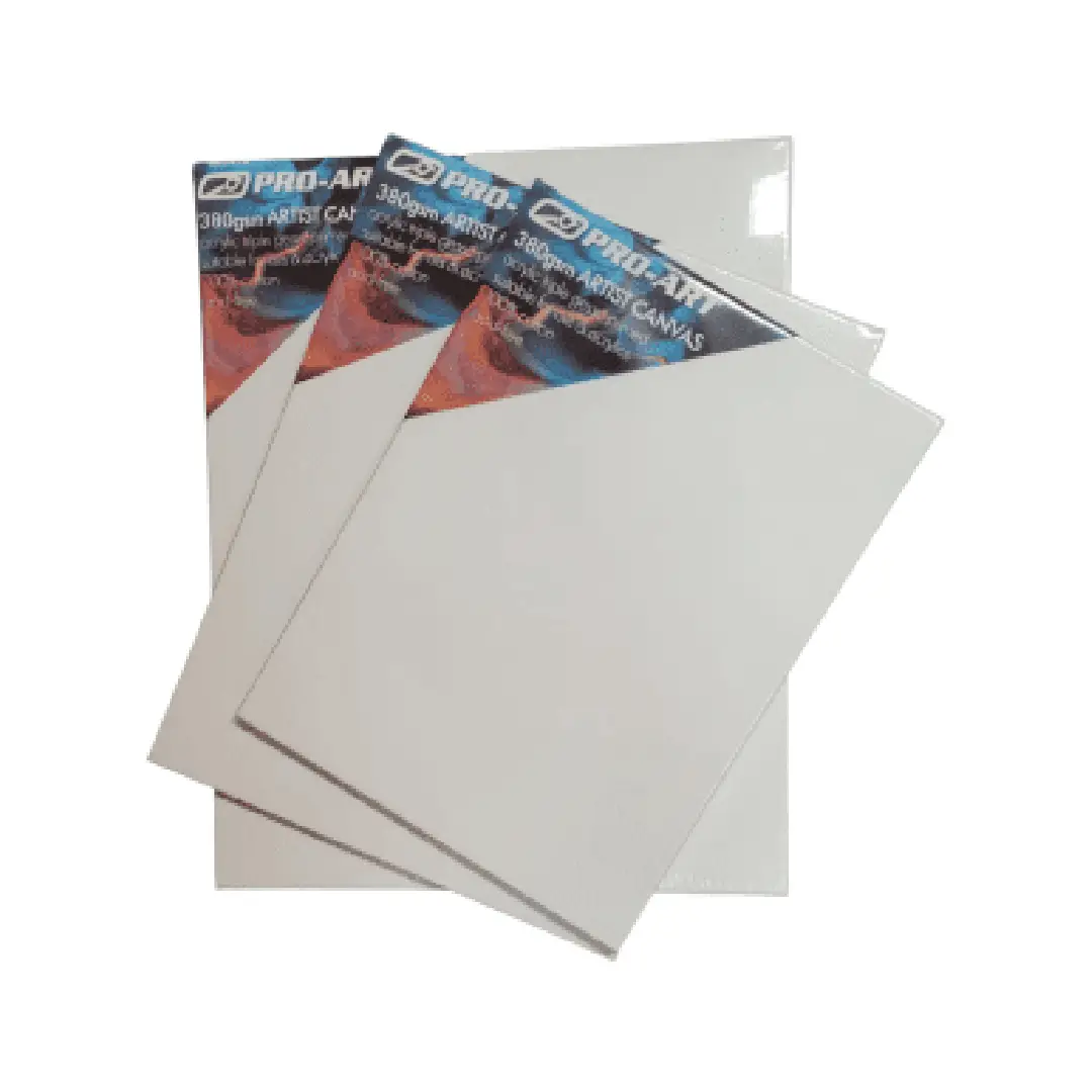 PROART Canvas - Thin Edge 24 x 30"