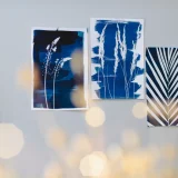 Cyanotype Sun Prints three prints