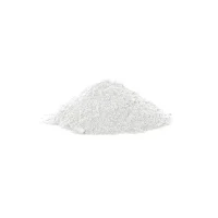 Tempera Powder Paint – White – 2kg